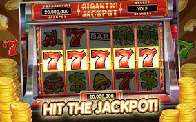 wildbet