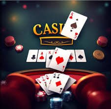 wildbet